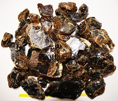 Fossils