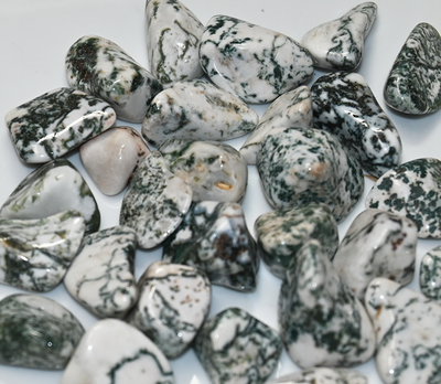 Tree Agate