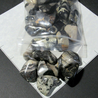 JASPER SILVERLEAF (20-30 mm) large tumbled stones silver gray black. 1 lb bulk