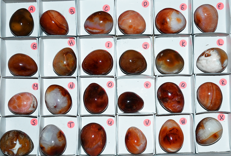 AGATE CARNELIAN egg polished companion stone display.  1 stone egg