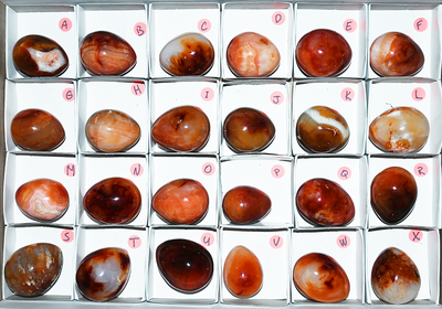 AGATE CARNELIAN egg polished companion stone display.  1 stone egg