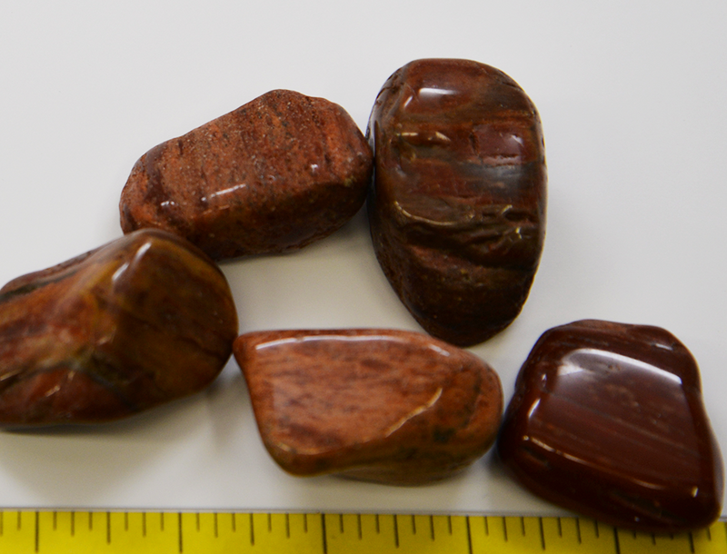 PETRIFIED WOOD XXL (30-60mm+) tumbled, stones 1-1/4 to over 2" 1/2 lb.