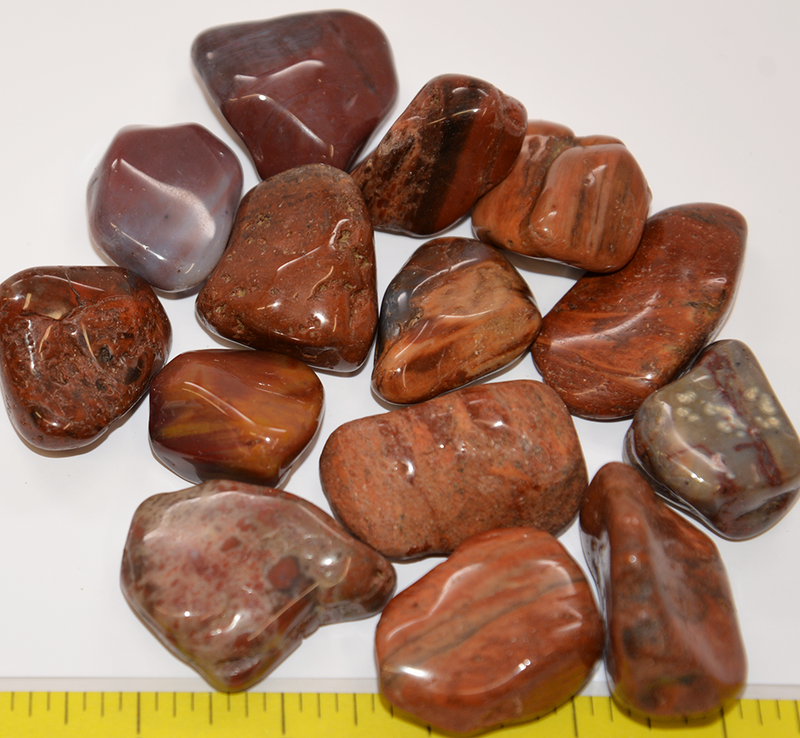 PETRIFIED WOOD XXL (30-60mm+) tumbled, stones 1-1/4 to over 2" 1 lb.