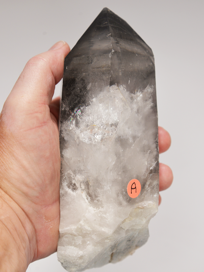 QUARTZ PHANTOM CRYSTALS - Phantom Quartz Crystals up to 8" tall