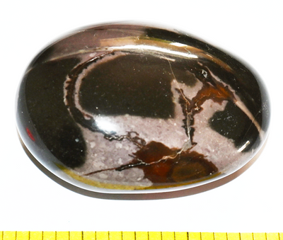 JASPER PICASSO polychrome polished companion stone  - Lot F