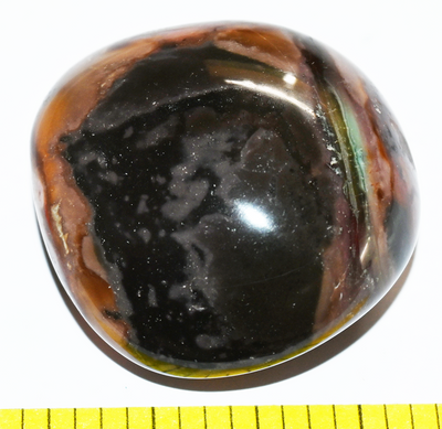 JASPER PICASSO polychrome polished companion stone  - Lot R