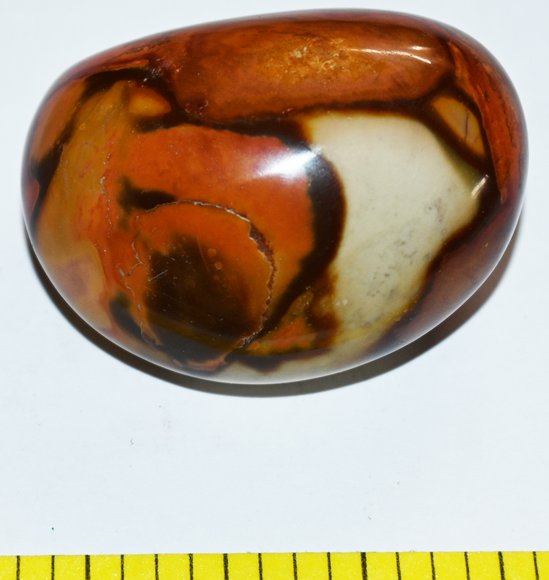 JASPER PICASSO polychrome polished companion stone  - Lot S