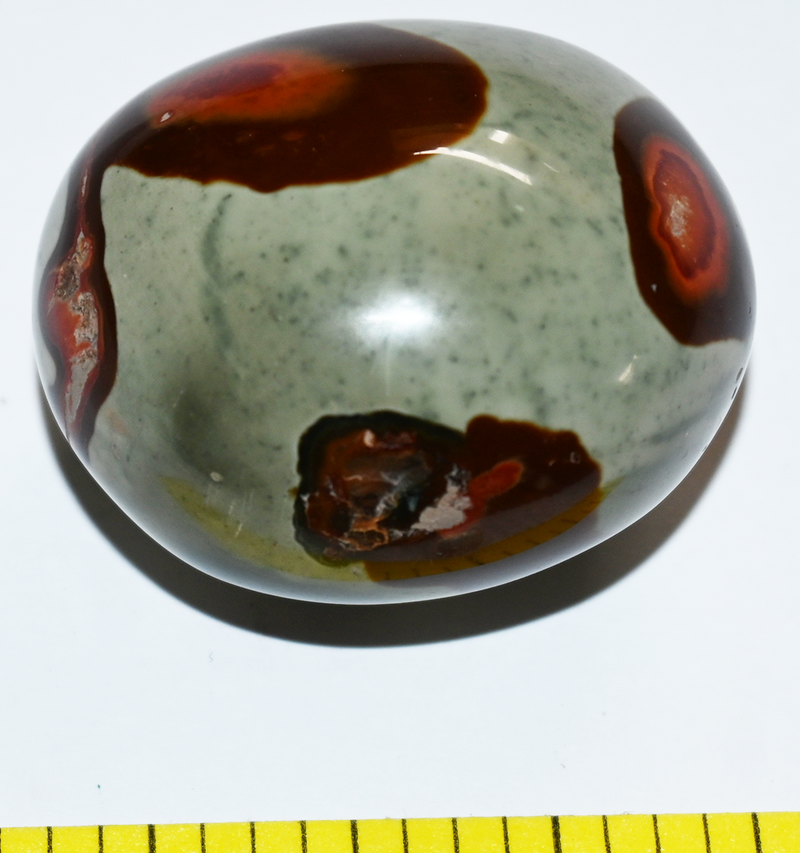 JASPER PICASSO polychrome polished companion stone  - Lot T