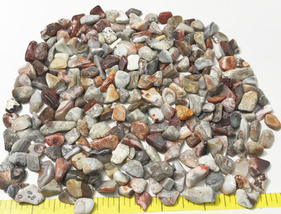 AGATE CRAZY LACE  X-Small polished stones 1/2 or 1-pound bags