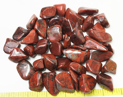 JASPER BRECCIATED Large (20-30mm) polished stones.  1 lb