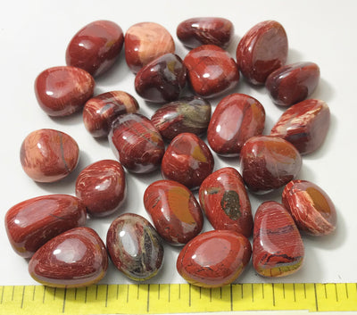 JASPER CONVOLUTED  Medium (18-25mm) polished stones  1/2 lb.  HAND SORTED