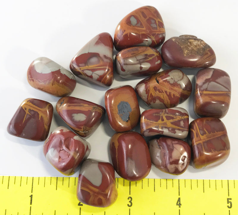 JASPER Noreena, Large (20-30mm) polished stones.  1/2 lb HAND SORTED