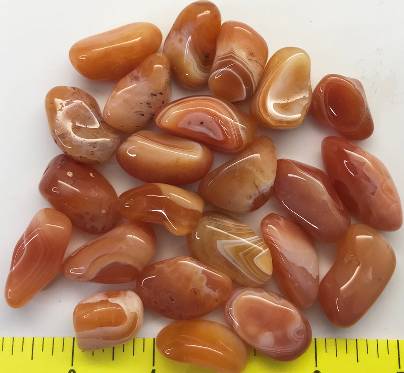 AGATE CARNELIAN size Large  polished Hand Sorted  7/8 to 1-1/4"   1/2 lb