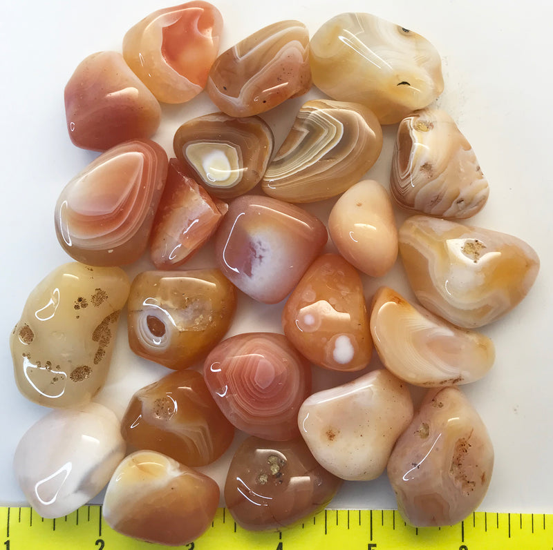 AGATE CARNELIAN size Extra-Large - polished Hand Sorted 1-1/4 to 2"+   1 lb