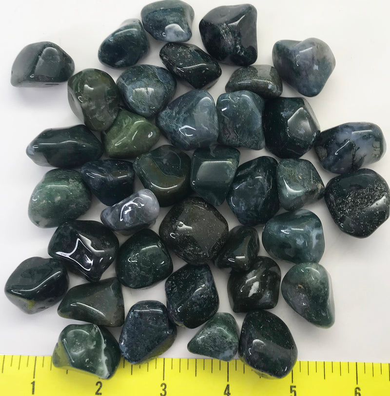 AGATE MOSS Large (7/8-1-1/4") polished green agate   1 lb bulk