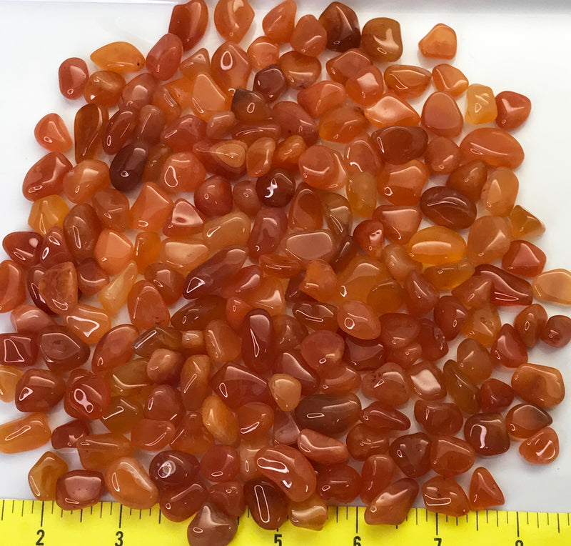 AGATE CARNELIAN Botswana Small (1/2 to 3/4") polished orange     1 lb