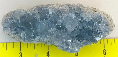 CELESTITE Natural Specimen from Madagascar - 6.7 oz. power crystals #137