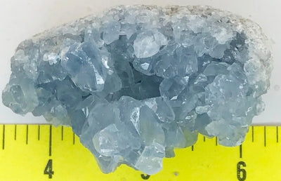 CELESTITE Natural Specimen from Madagascar 5.0 oz. power crystals #167