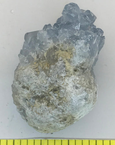 CELESTITE Natural Specimen from Madagascar 4.7 oz. power crystals #171