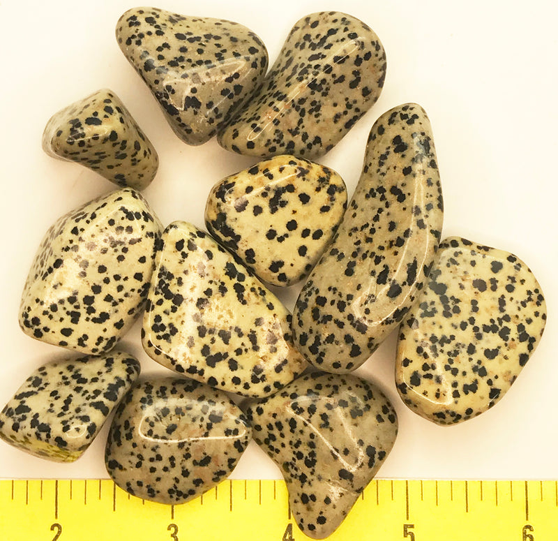 DALMATIAN STONE size X-Large  (1-1/4 to 2") polished stone - 1/2 lb.