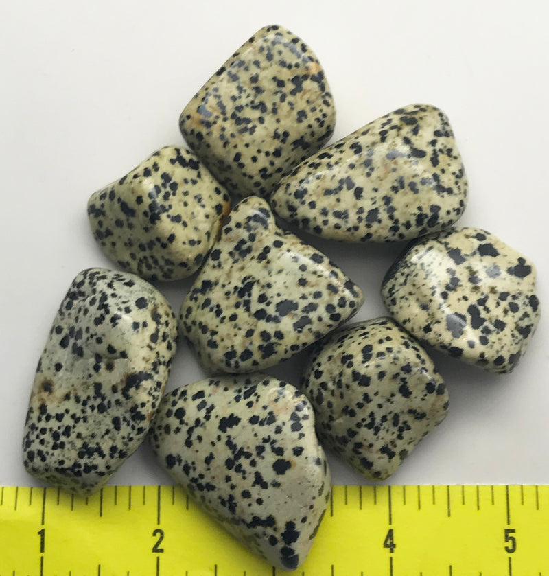 DALMATIAN STONE size XX-Large  (1-7/8 to 2-1/2") polished stones - 1/2 lb.