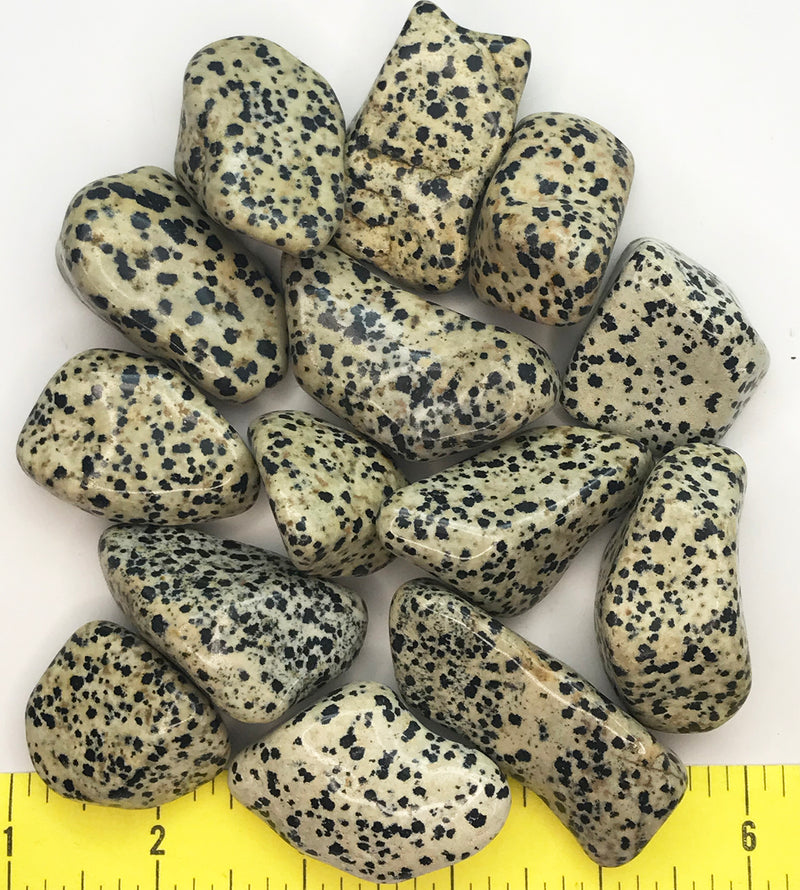 DALMATIAN STONE size XX-Large  (1-7/8 to 2-1/2") polished stones - 1 lb.