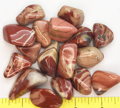 JASPER FLOWER Large (7/8" to 1-1/4") polished stones.    1/2 lb bulk